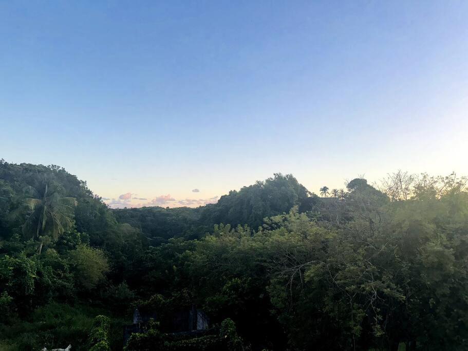 L'Ecrin De Verdure Sainte-Anne  Extérieur photo